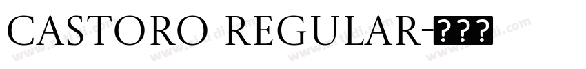 Castoro Regular字体转换